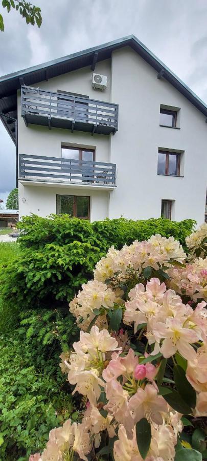 Apartamenty Montania ויסלאו מראה חיצוני תמונה