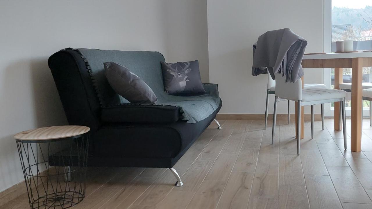 Apartamenty Montania ויסלאו מראה חיצוני תמונה