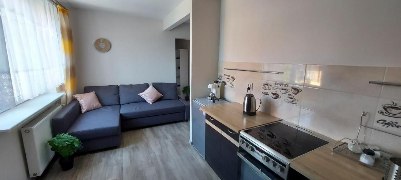 Apartamenty Montania ויסלאו מראה חיצוני תמונה