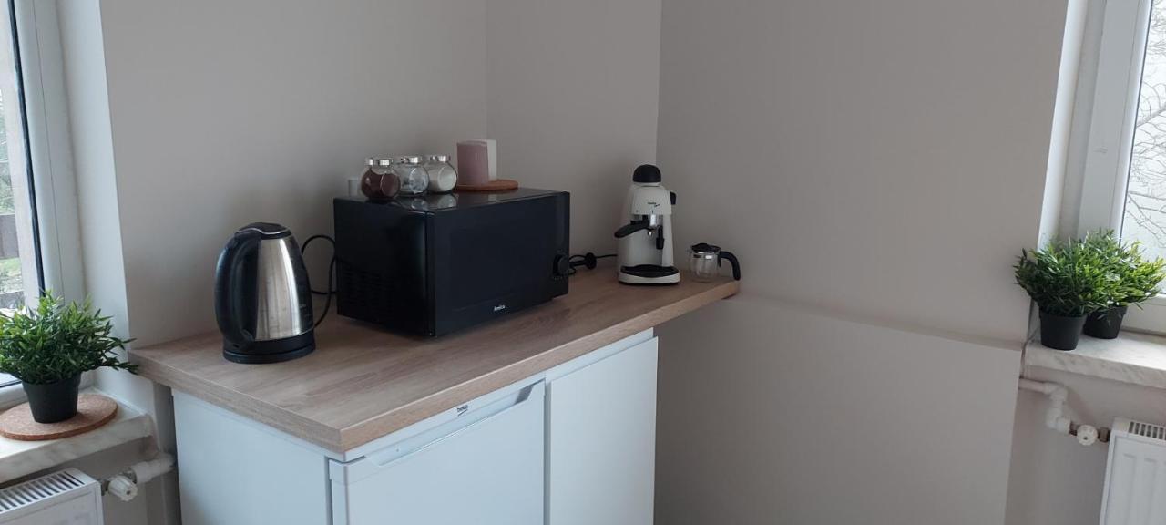 Apartamenty Montania ויסלאו מראה חיצוני תמונה
