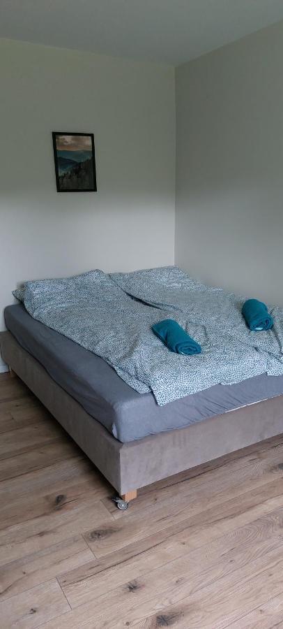 Apartamenty Montania ויסלאו מראה חיצוני תמונה