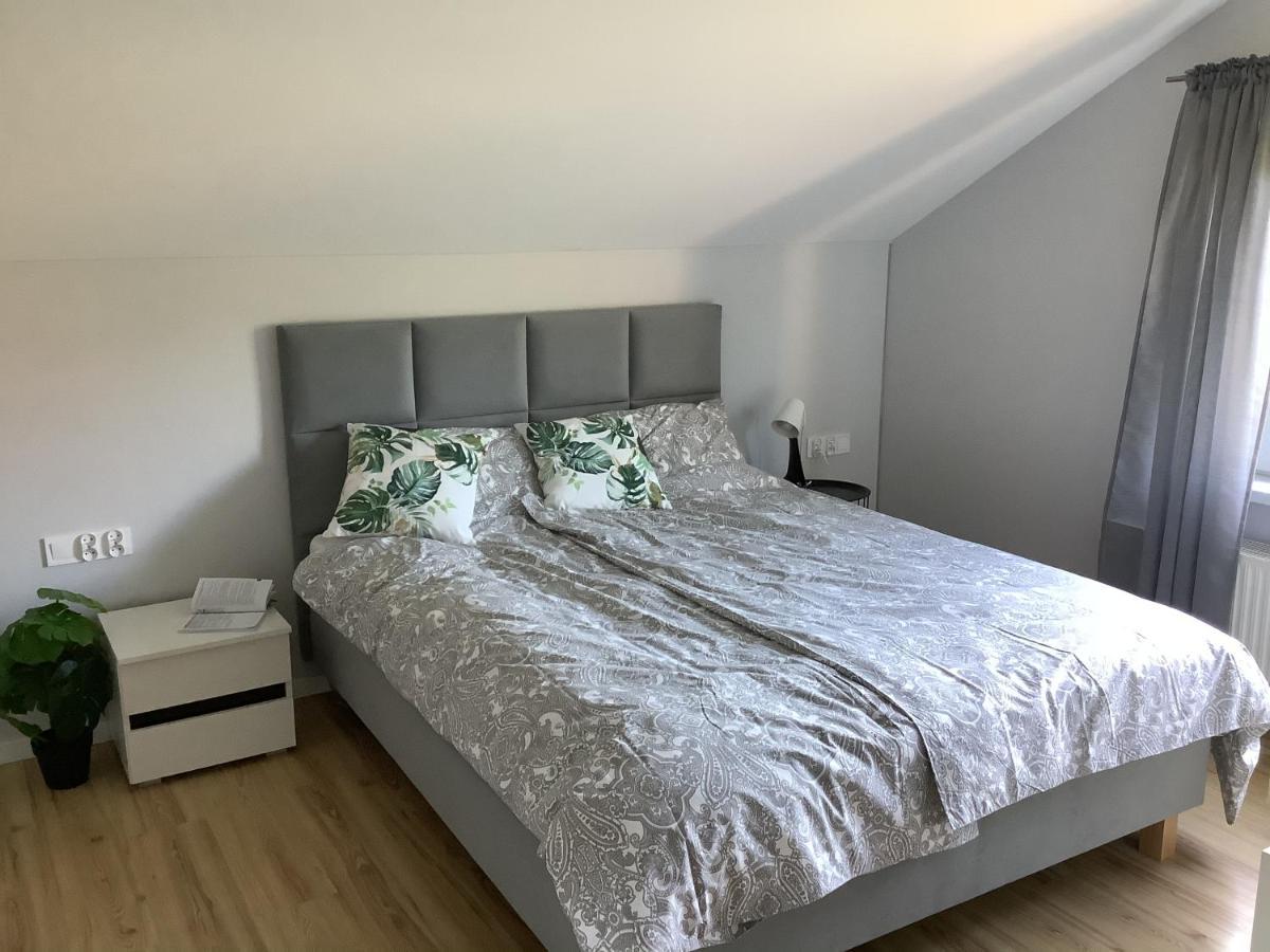 Apartamenty Montania ויסלאו מראה חיצוני תמונה