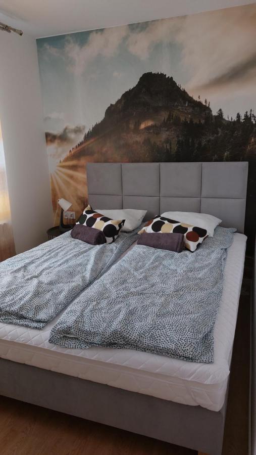 Apartamenty Montania ויסלאו מראה חיצוני תמונה
