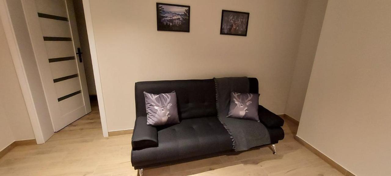 Apartamenty Montania ויסלאו מראה חיצוני תמונה
